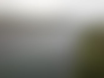 河川の状況・鮎釣り情報