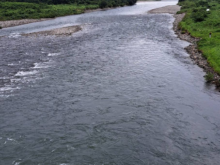 河川の状況