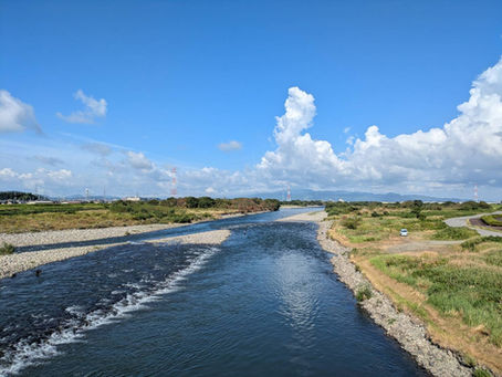 河川の状況