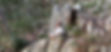 13f91b_83b5889c915b4079b40452b7afbf601c~mv2.png