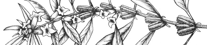 Body-Header-min.png
