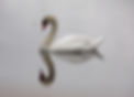 100_0208_edited.jpg