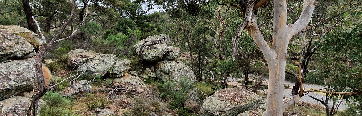 20220527_104210.jpg