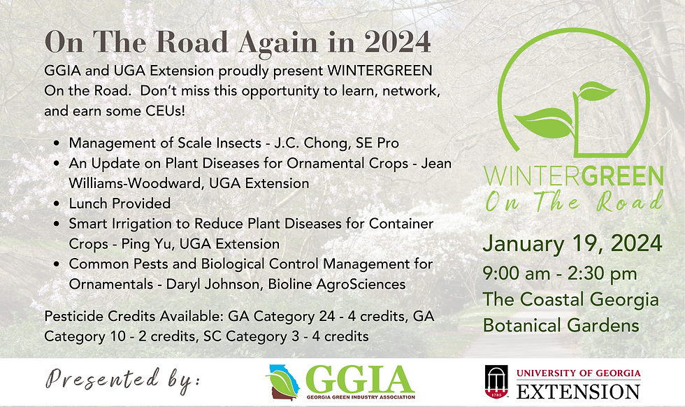 WG-OTR - Graphics (2).png