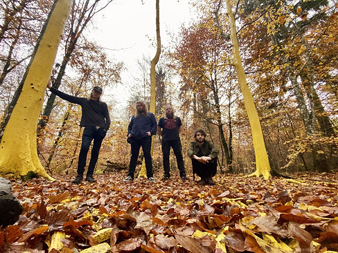BANDFOREST (2).jpeg
