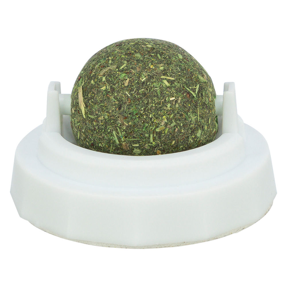 Bola De Catnip Com Suporte