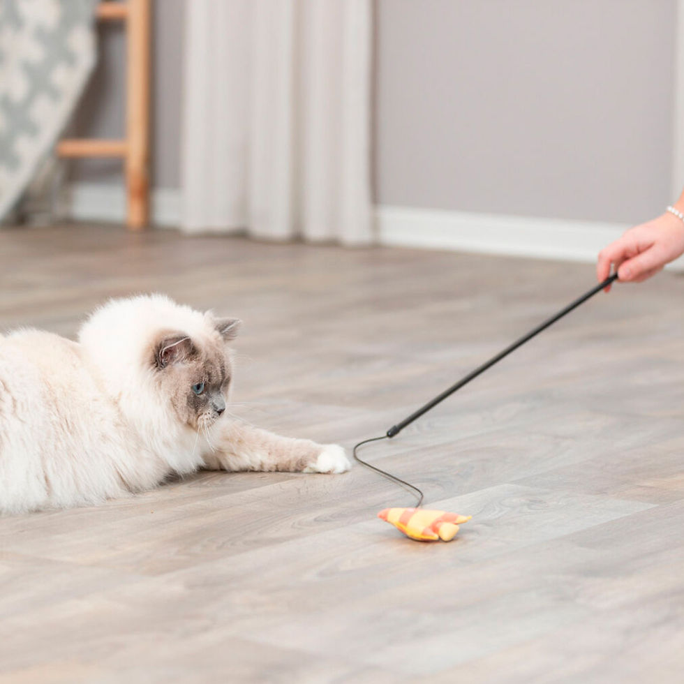 Miniatura: Bastão Com Peixe Em Tecido Para Gatos
