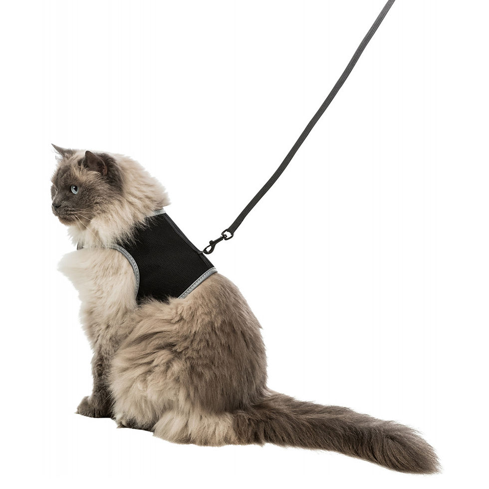 Miniatura: Peitoral E Trela Em Nylon Para Gatos Xxl