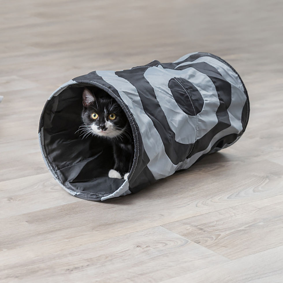Miniatura: Túnel Em Nylon Para Gatos