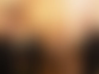 All star cast in Gala fundraiser