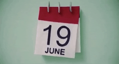 giphy (1).gif