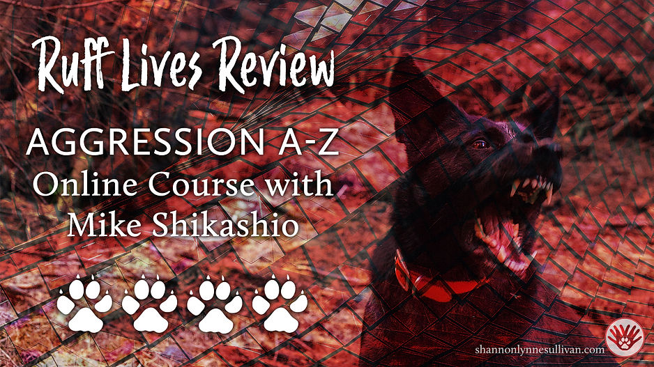 A dog with mouth open and teeth bared. Text: Ruff Lives Review Aggression A-Z Online Course with Mike Shikashio