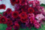 Gorgeous crimson and purple florals for a red themed wedding in La Jolla. Photo by a Joshua Tree elopement photographer.
