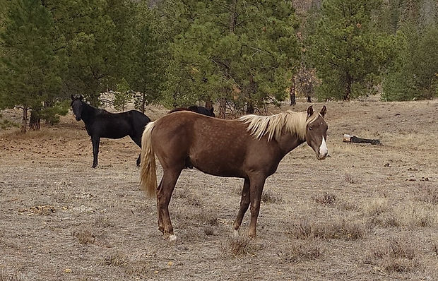 20251024_140849 #3.JPG