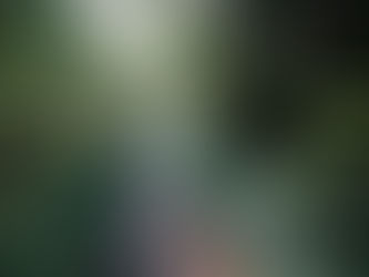 Natural Impressions (Typography Experiment)