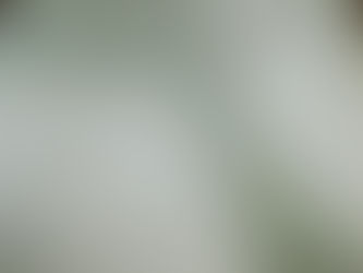Motion Project: Research 2