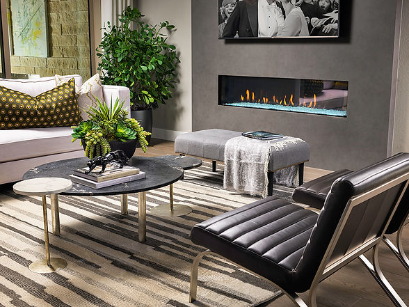 UID_Infinity_Luxe_Model_2_Family_Vignett