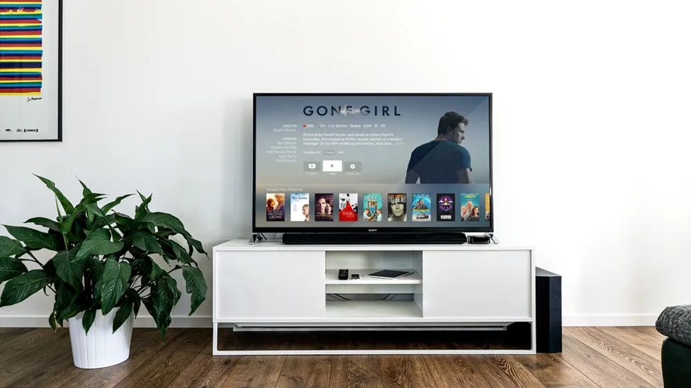 TV on a white stand showing "Gone Girl" in a modern living room. A large green potted plant and abstract art are nearby.