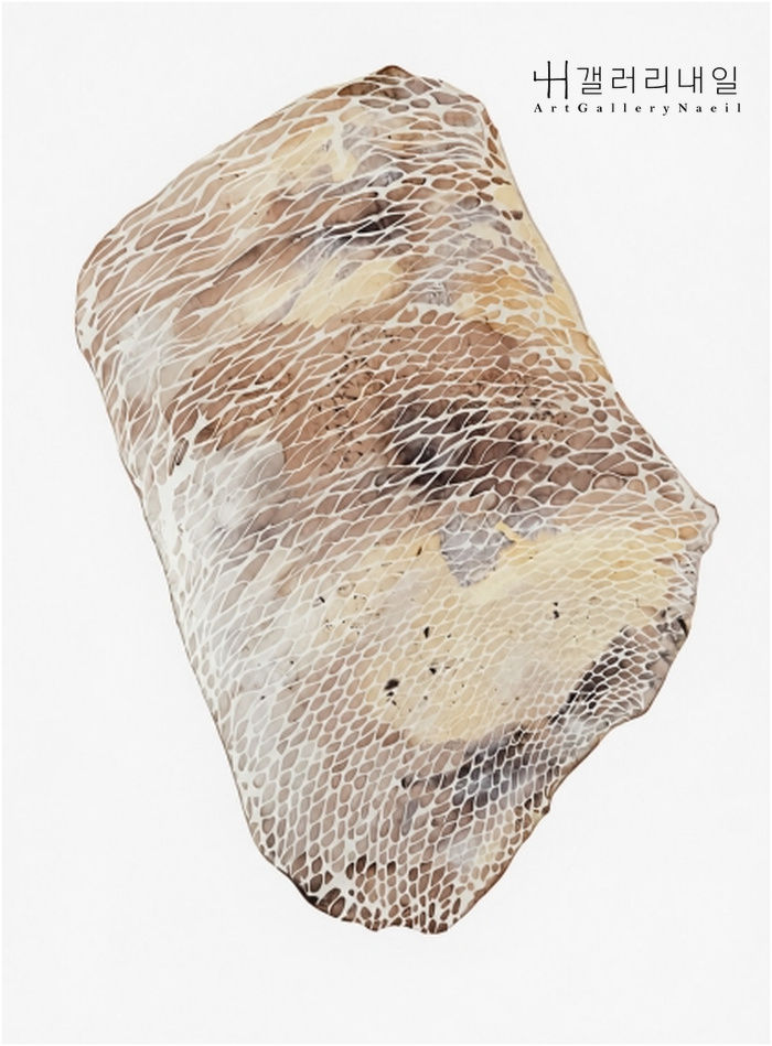 DENA HADEN, The Path Washed, 수채화지에 장미, 참나무 혹, 메리골드 페인팅, 76 × 55 cm, 2026