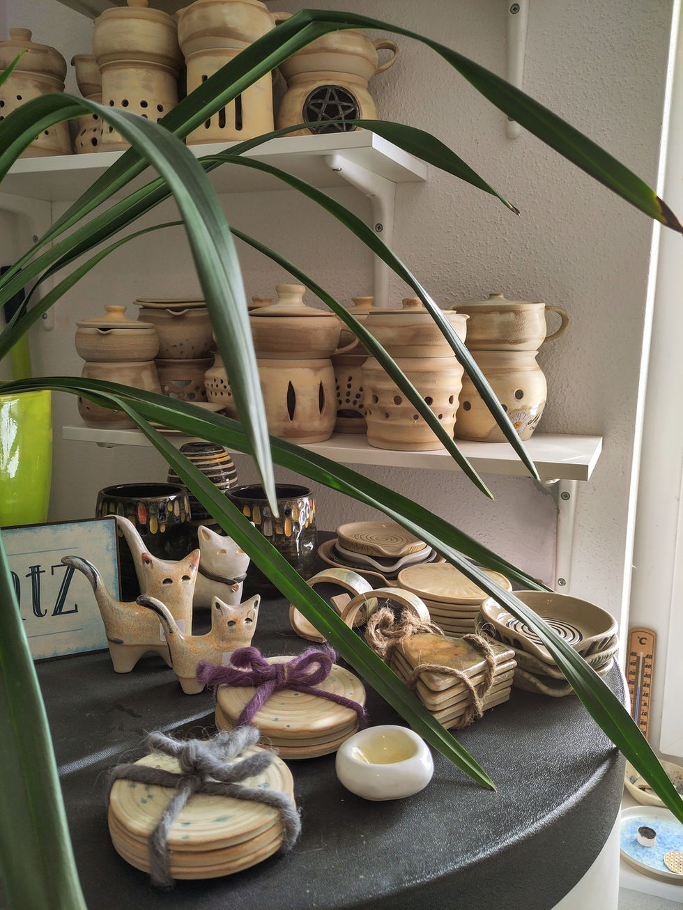 IMG_20250213_125322~2