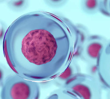 cells of body.jpg