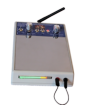 BIE Bioenergetic Intolerance Elimination