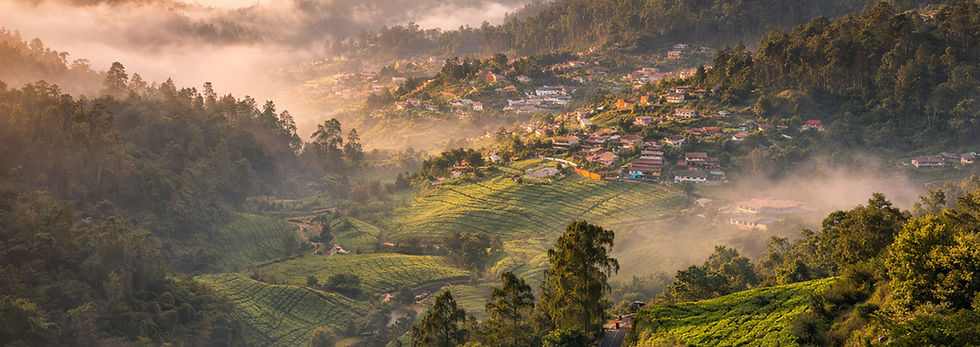 Ooty 2 Days Group Package Tour from Bangalore