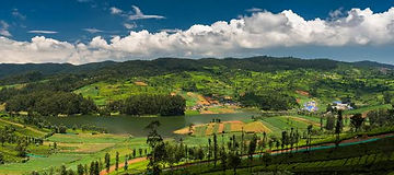 Ooty & Kotagiri 4 Days Tour Package from Mysore.