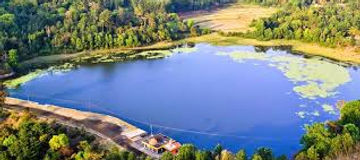 Ooty, Coonoor & Wayanad 5 Days Tour Package from Tiruppur.