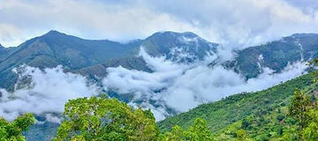 Ooty, Coonoor & Kotagiri 5 Days Tour Package from Palakkad.