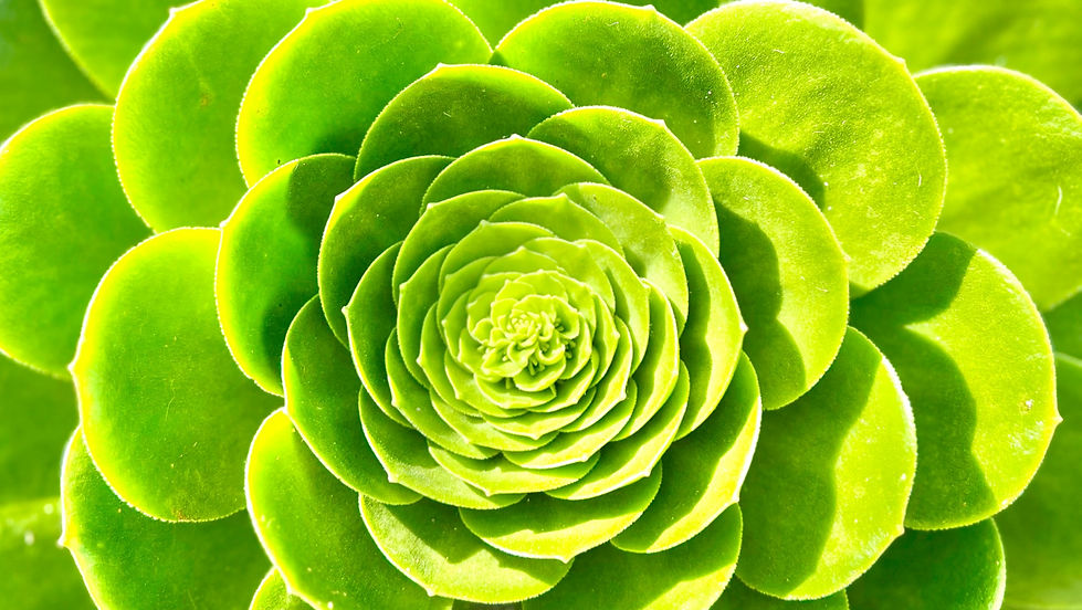 Magic Monday Meditation