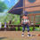 Thumbnail: New Pokemon Snap NSW