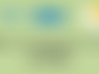 Social Entrepreneurship: Messengers for Society