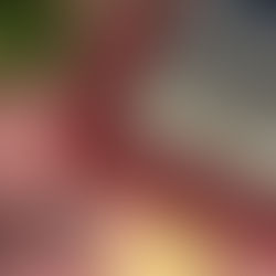 Eighteen years in the making...