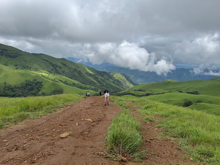 Exploring Netravathi Hill Trek: A Journey into the Untamed Beauty of Kalasa Karnataka