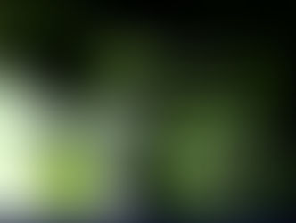 Nueva seccion XMugen