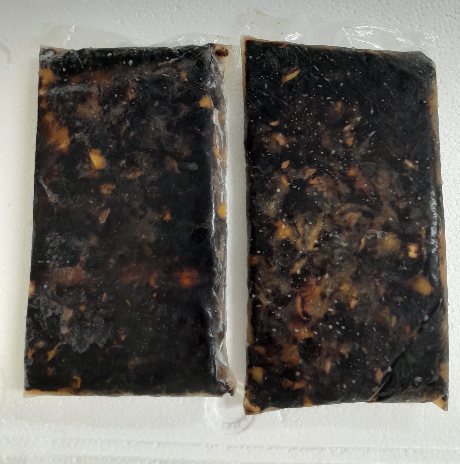 Carne de Concha Negra Congelada