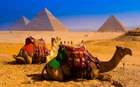 Miniatura: República Árabe de Egipto (OIT)