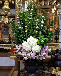仏花