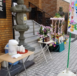 西教寺花まつり