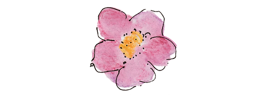 rose-email.png