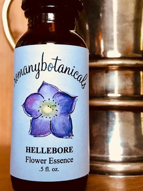 HELLEBORE FLOWER ESSENCE