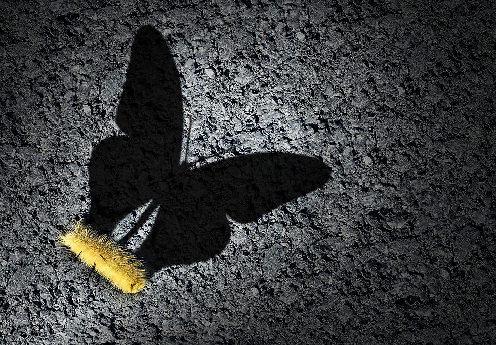caterpillar with butterfly shadow