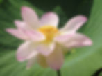 P1080372
