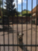 Expanded Metal (Grate) Fence