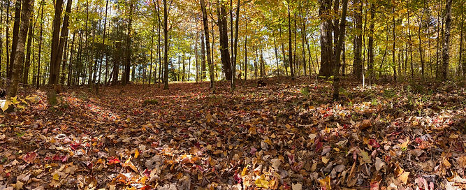Autumn Panoramic.jpg