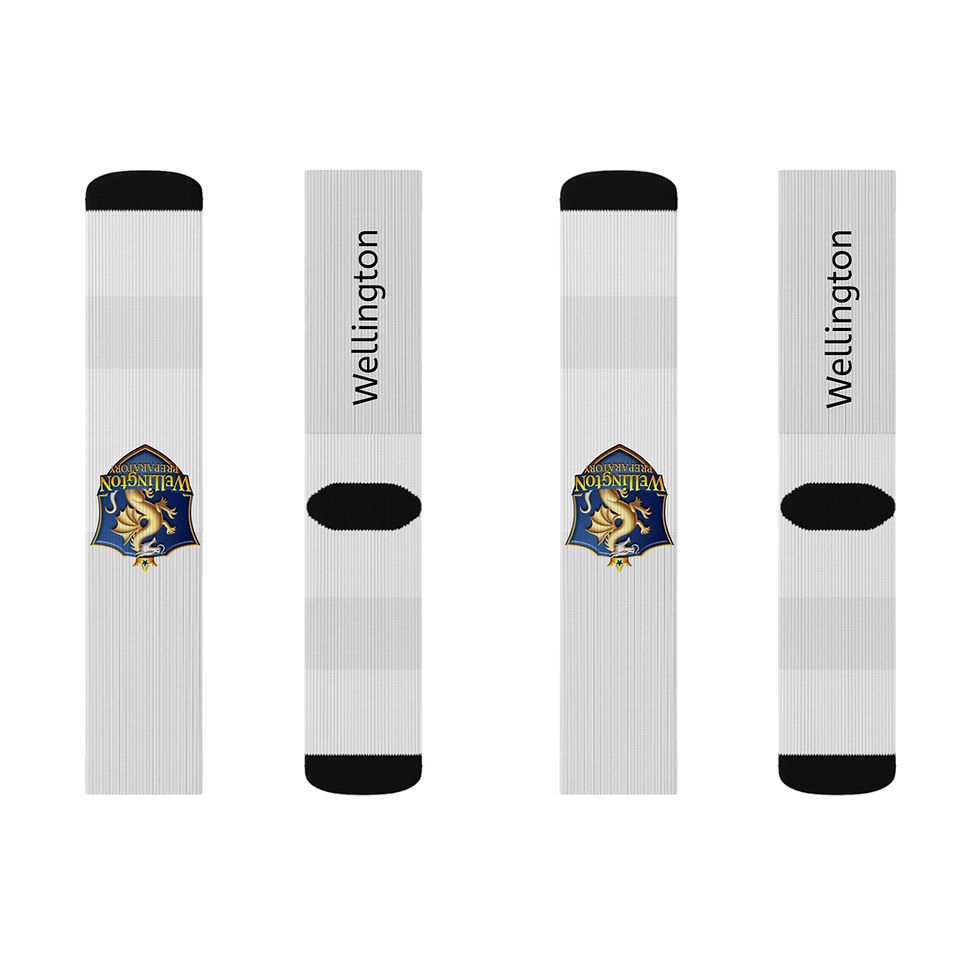 Thumbnail: Wellington Team Spirit Socks