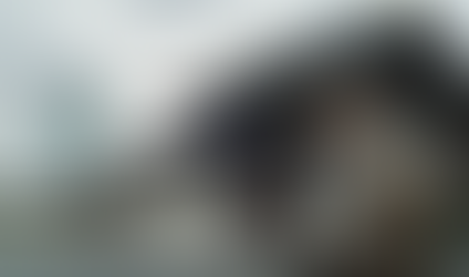 11月24日は東南方位＠青龍返首＆飛鳥跌穴で、奇門遁甲遠隔ヒーリングをお送りします！