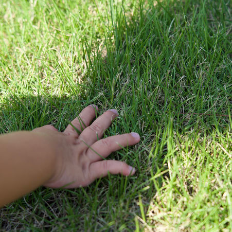 手になじむ…という感覚は、私にとって大切な感覚の一つです