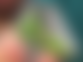 スピリチャルなメッセージ:突然目の前にまた緑のカマキリが現れたら?